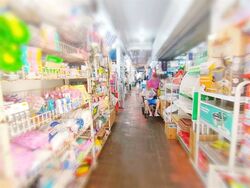 264 SERANGOON CENTRAL (D19), Shop House #611051231